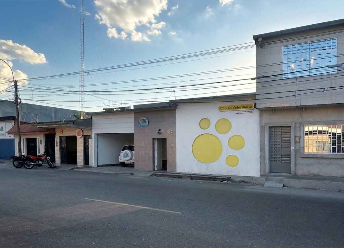 fachada-local-alzamora